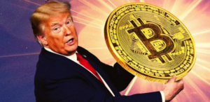 trump coin crash